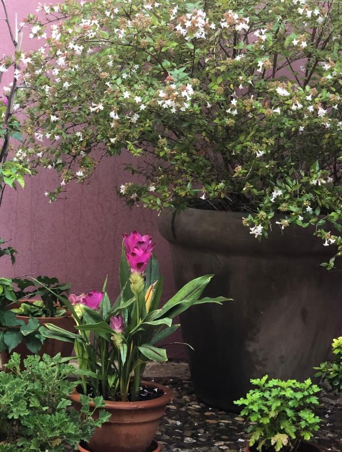 La Posada De Lola エル・モラル エクステリア 写真