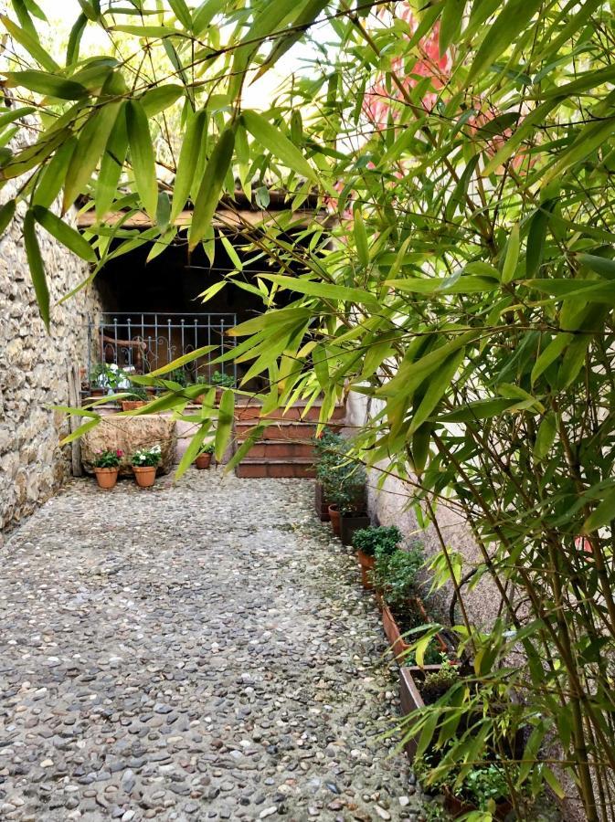 La Posada De Lola エル・モラル エクステリア 写真